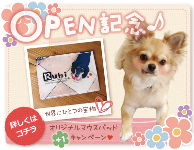 Open�L�O�@�I���W�i���}�E�X�p�b�h�@+1�L�����y�[�����{���I